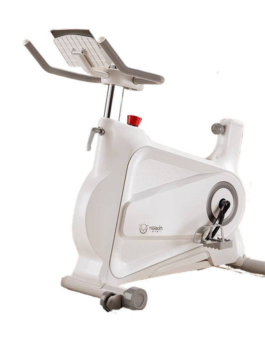 Smart Magnetic Spin Bike for Home Indoor Cycling, Weight Loss & Silent Cardio Training