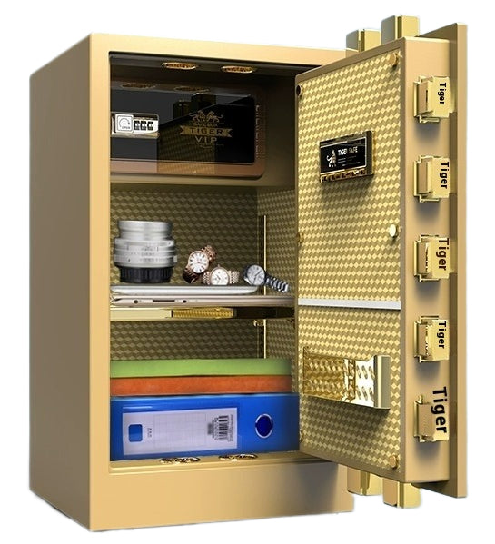 Tiger Hidden Wall Safe - Smart Fingerprint & Key Lock, Full Steel Security Box for Bedroom/Office